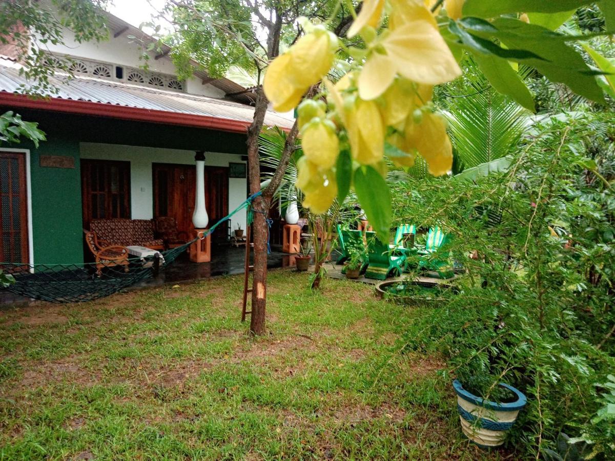 Sigiriya Village Home Stay Exteriér fotografie